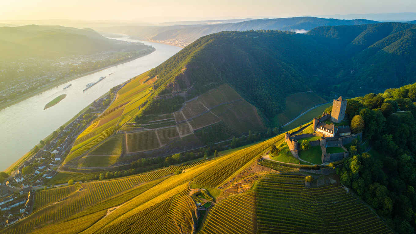 Panoramablick auf das Rheintal — grüne Hügel, Weinberge und die Rheinschleife im Morgendunst